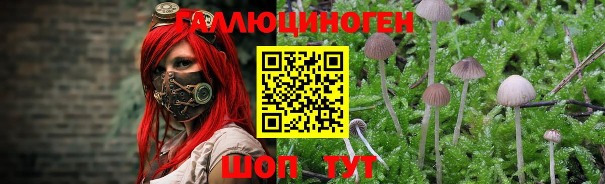 Наро-Фоминск  Псилоцибиновые грибы мухоморы  Вход с VPN 